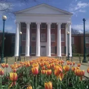 University of Mississippi Grad School