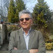 mohsen niknejad