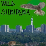 Wild Suburbia UK