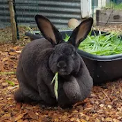 Close Quarters Farm