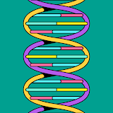 Biomanufacturing and Bioprocessing