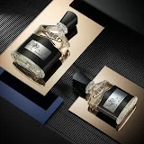 Soheil__perfume