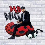 Mr Bug