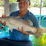 Toàn Duyên Hải