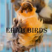 Ehab Birds