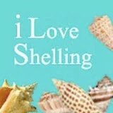 i Love Shelling