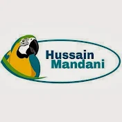 Hussain Mandani