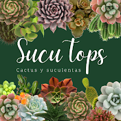 Sucu Tops