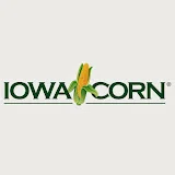 Iowa Corn