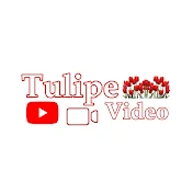 توليب فيديو tulipe video