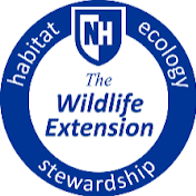 The Wildlife Extension