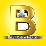 Bright online tutorial