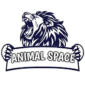 Animal Space