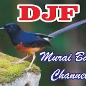 DJF MURAI BATU