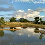 mandala india