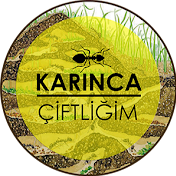 Karınca Çiftliğim