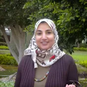Sawsan Aboul-Fotouh Neuropsychopharmacology