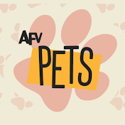 AFV PETS