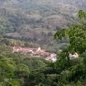 Honduras camasca plus