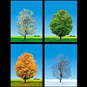 Four Seasons Oldies