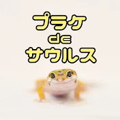 プラケdeサウルス【両生類・爬虫類飼育初心者】