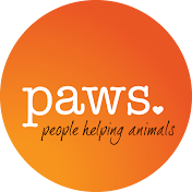 PAWS TV