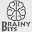 Brainy-Bits