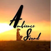 Ambience Sound