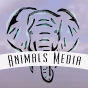 AnimalsMedia.com