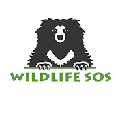 Wildlife SOS