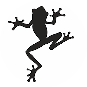 Black Frog