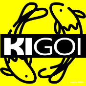 KiGoi