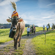 Viehschau Mosnang