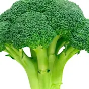 BroccoliRocks