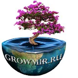 Гроушоп Growmir