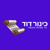 כינור דוד