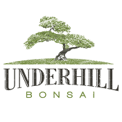 Underhill Bonsai