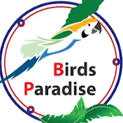 Birds Paradise