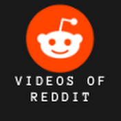 Videos of Reddit