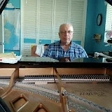 Daniel Bremer Piano Player