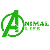 Animal Life