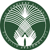 The Longleaf Alliance