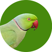 The Parakeet