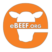 eBEEF.org