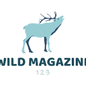 WILD MAGAZINE - المجلة البرية
