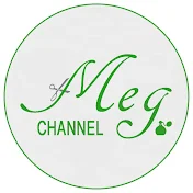 MEG Channel