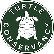 Turtle Conservancy