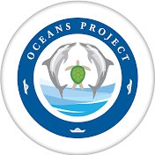 Oceans Project