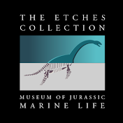 The Etches Collection