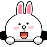 小康乐园（Little Cony）